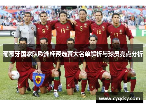 葡萄牙国家队欧洲杯预选赛大名单解析与球员亮点分析