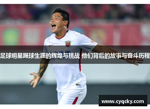 足球明星踢球生涯的辉煌与挑战 他们背后的故事与奋斗历程