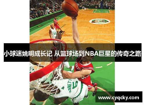 小球迷姚明成长记 从篮球场到NBA巨星的传奇之路